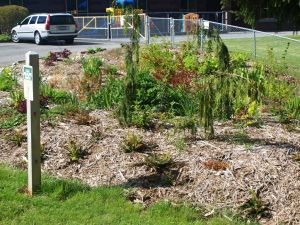 Columbia Elementary School