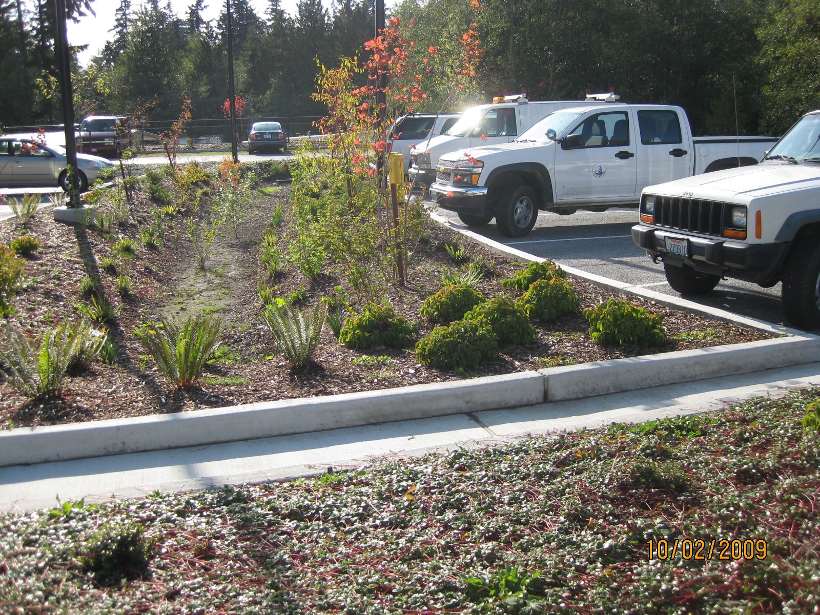 Bio-Swale LID, City Hall