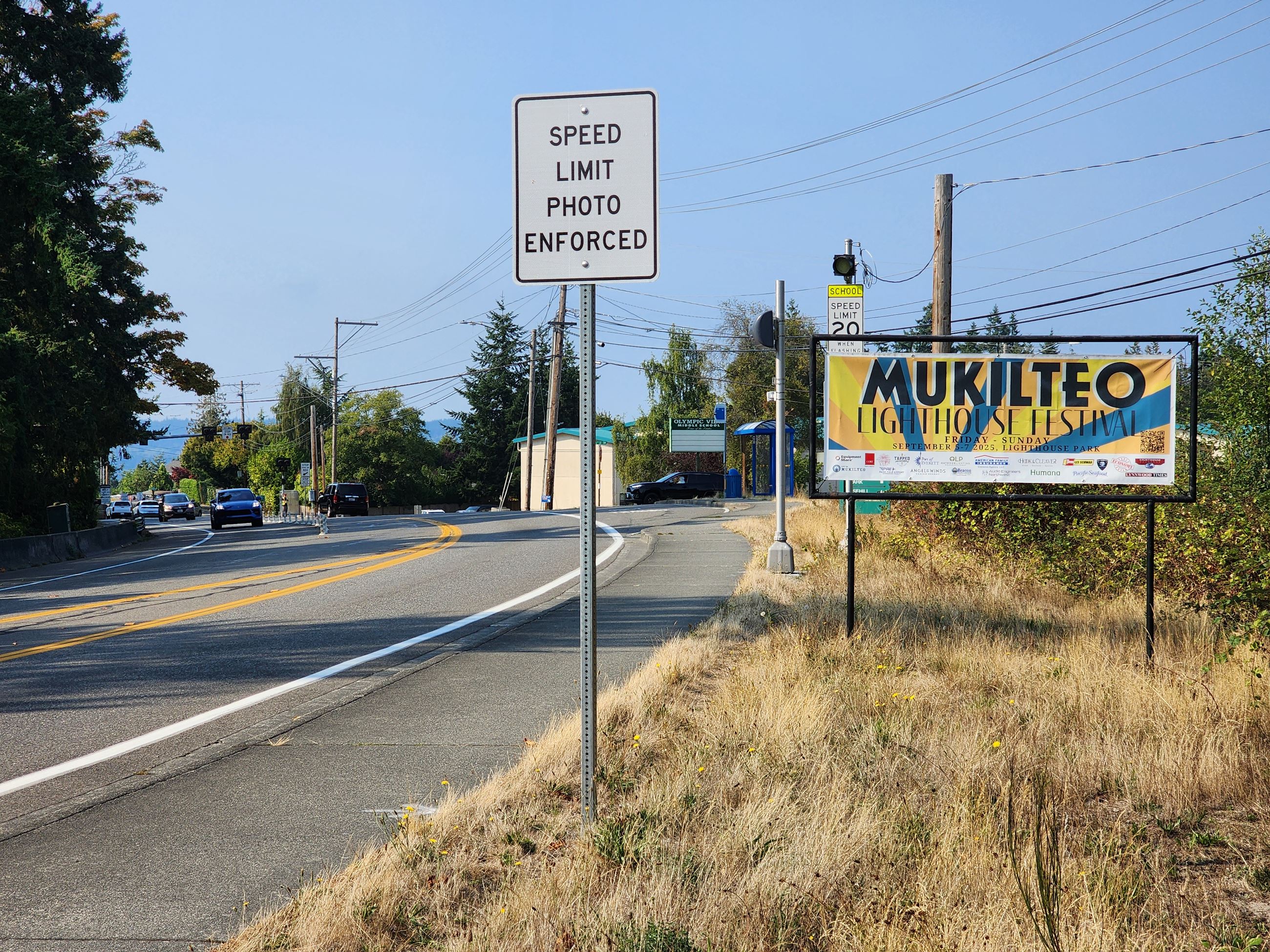 Olympic View Banner Frame